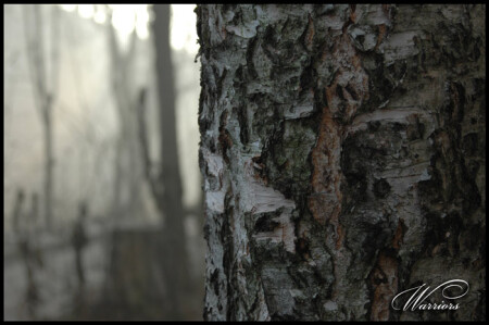 раннее утро моей души