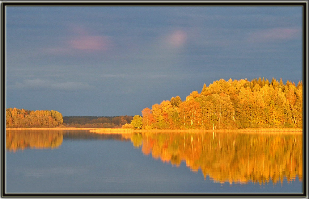 И вновь осенний лес...