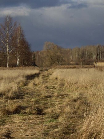 дорога2