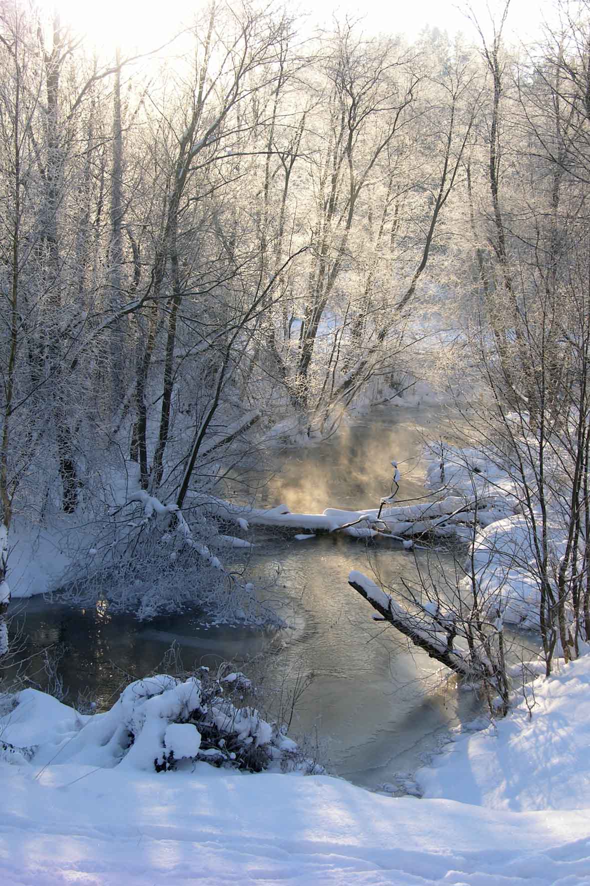 Январский туман