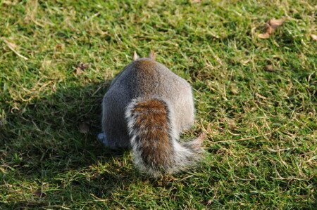 не стой там, сзади.....