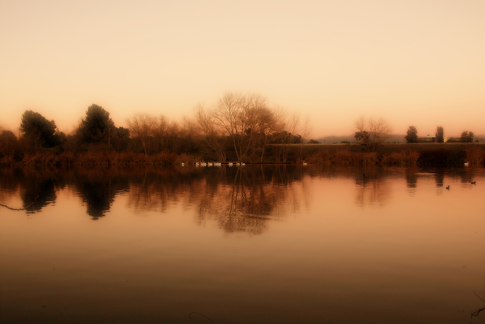 Orange day