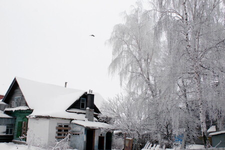 &amp;quot;белая береза под моим окном...&amp;quot;