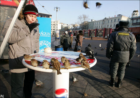 днем.
