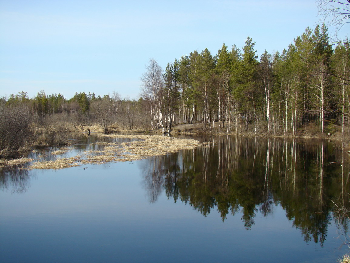 Зазеркалье