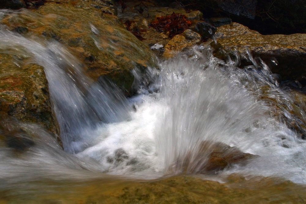 Водная феерия