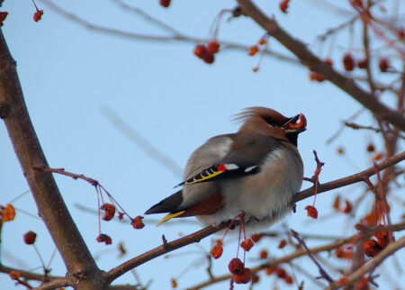 А ну-ка раскуси!!!