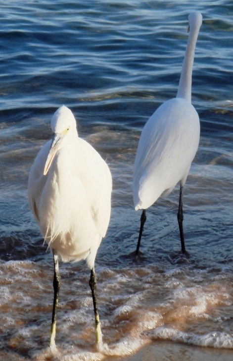 Любовь к морю.