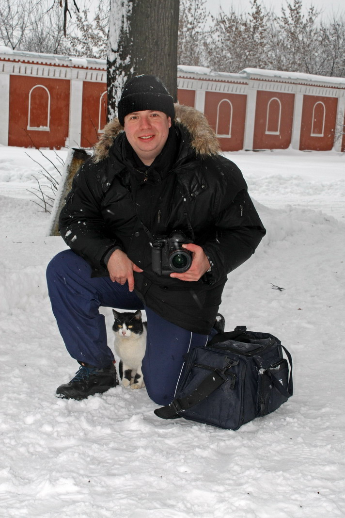 Кот прячется от снега.