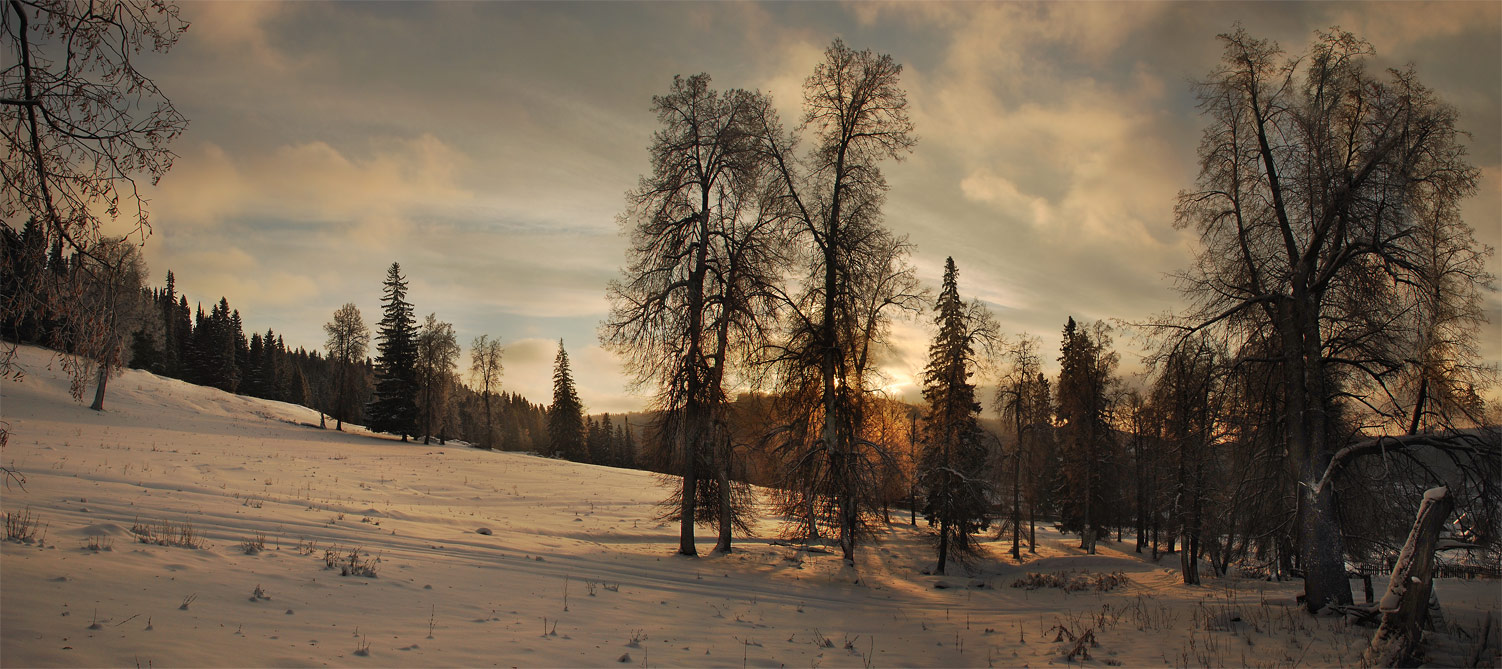 Красная нега