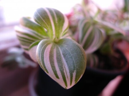 С добрым утром!