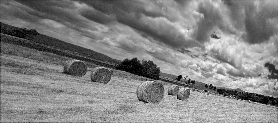 Yarra Valley