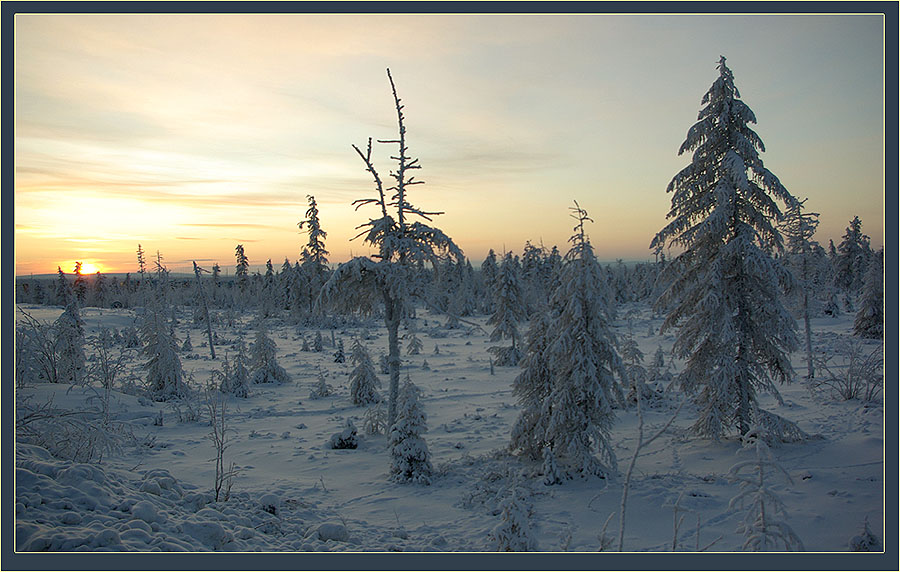 Северное утро