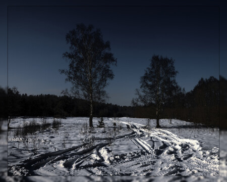 Just landscape
