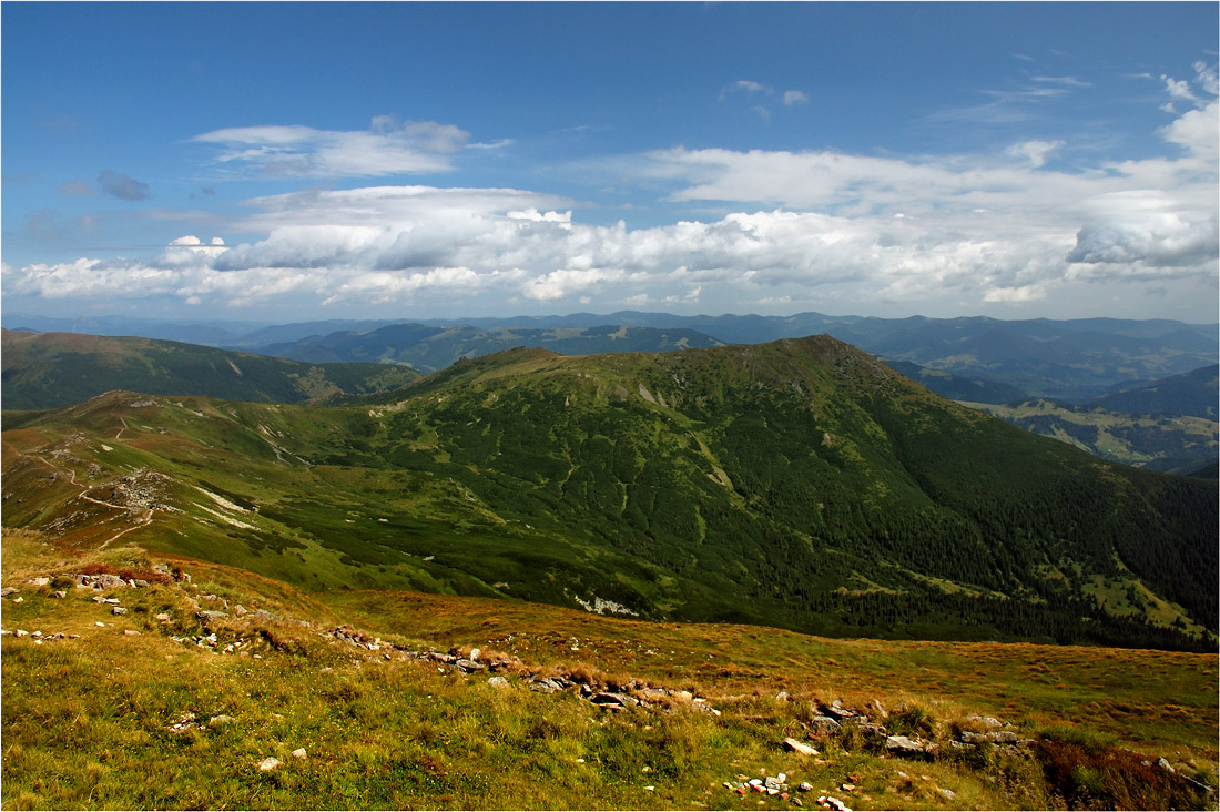 Карпатські стежки