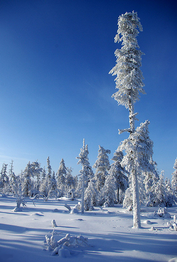 Февраль