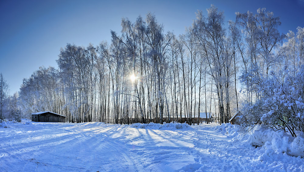 Февральское утро2