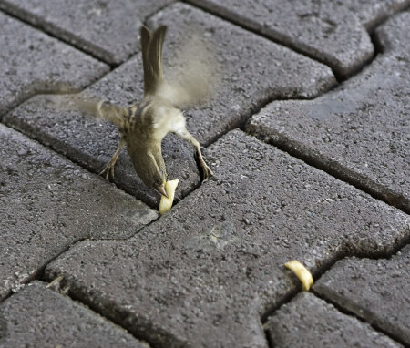 А-ааа-ать!