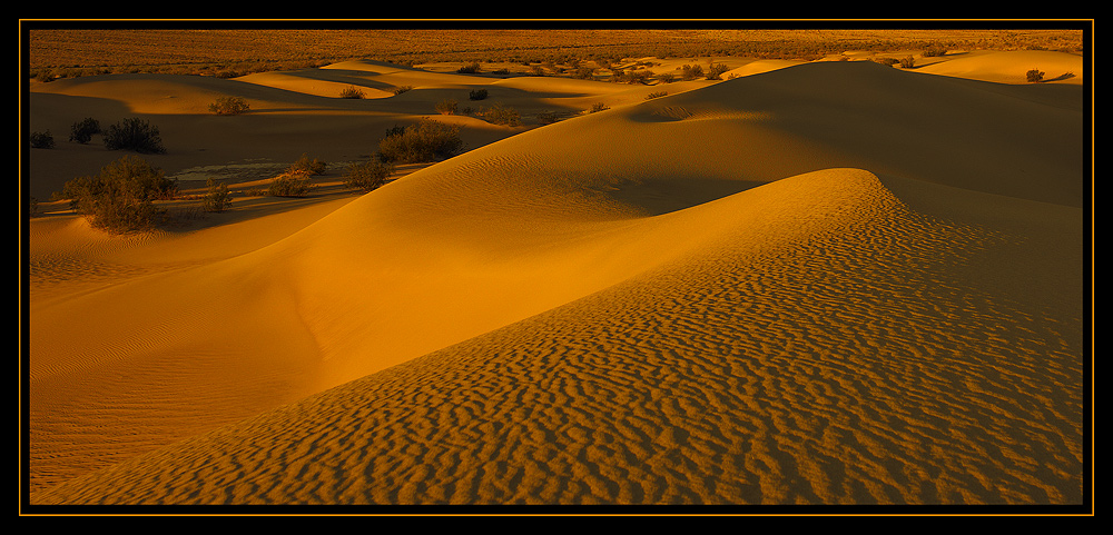 Golden Dunes