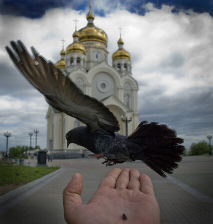 Взмах....и