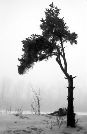 Туманный март