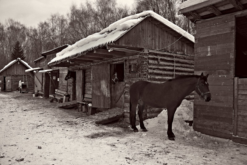 Конный двор,скоро весна