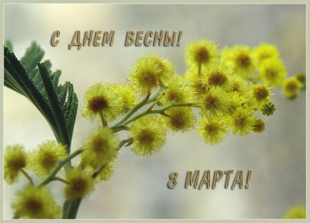 С праздником ВЕСНЫ!