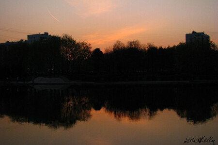 silent pond