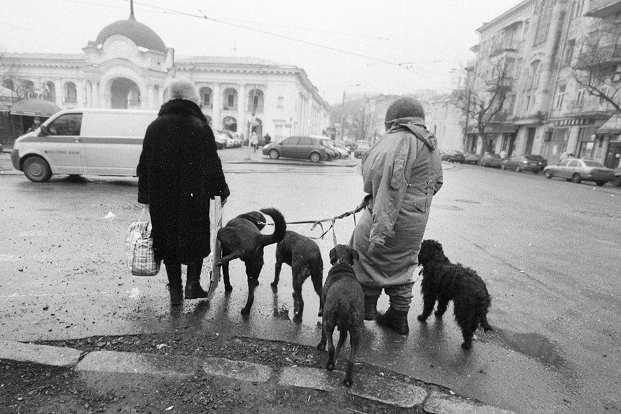 до столба не дотерплю