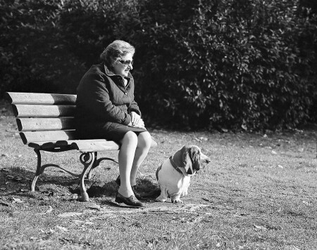 Про то, что все хозяева похожи на своих собак...