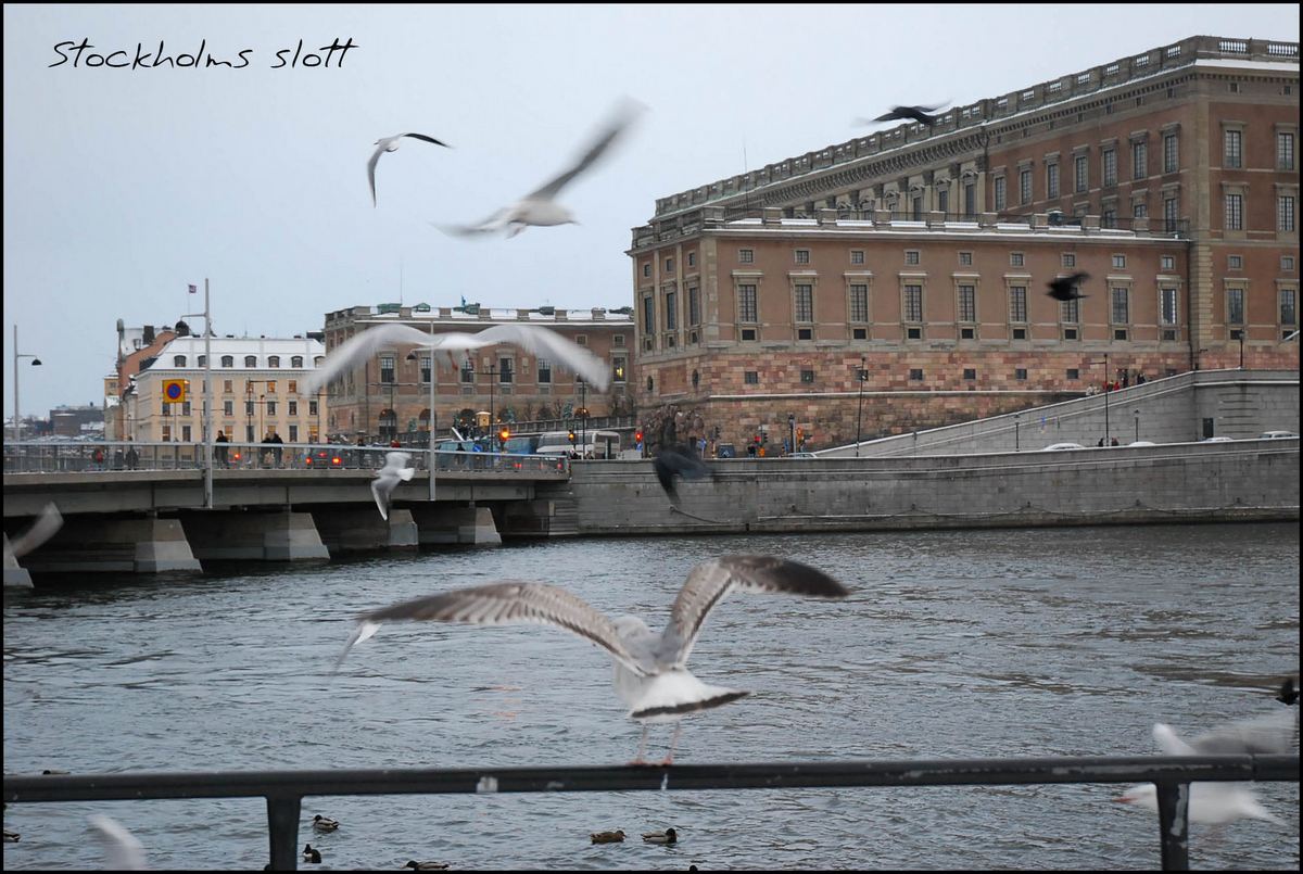 -stockholms slott-