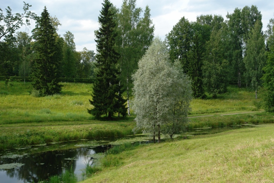 Красива Русская природа.