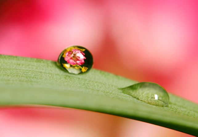 pink tear