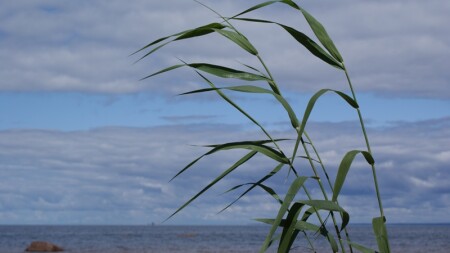 легкий бриз