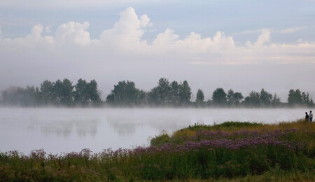 Причудливые облака