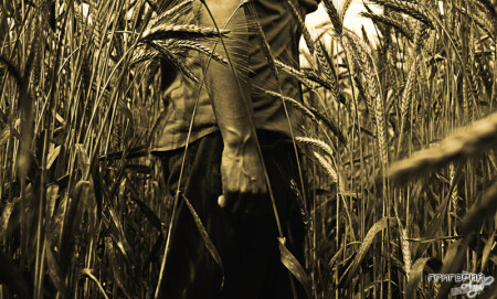 один в поле