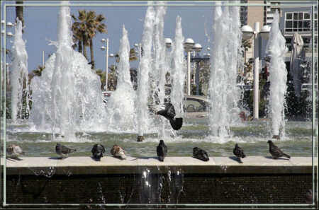 Набережная Тель Авива