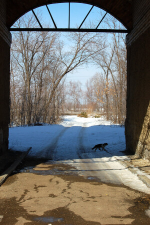 весна пришла