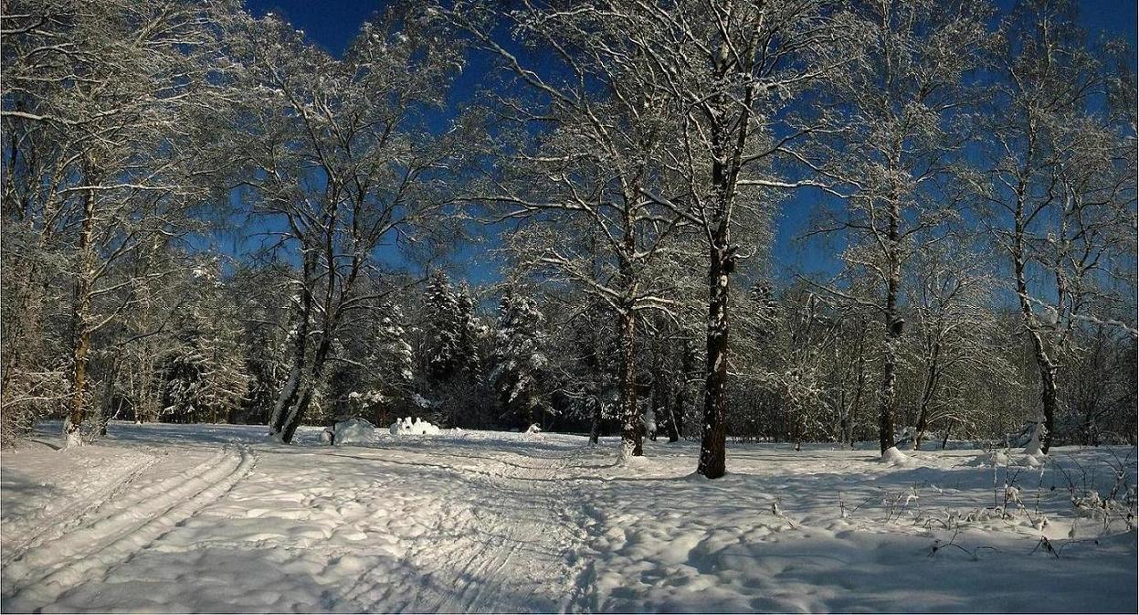 Закрытие лыжного сезона