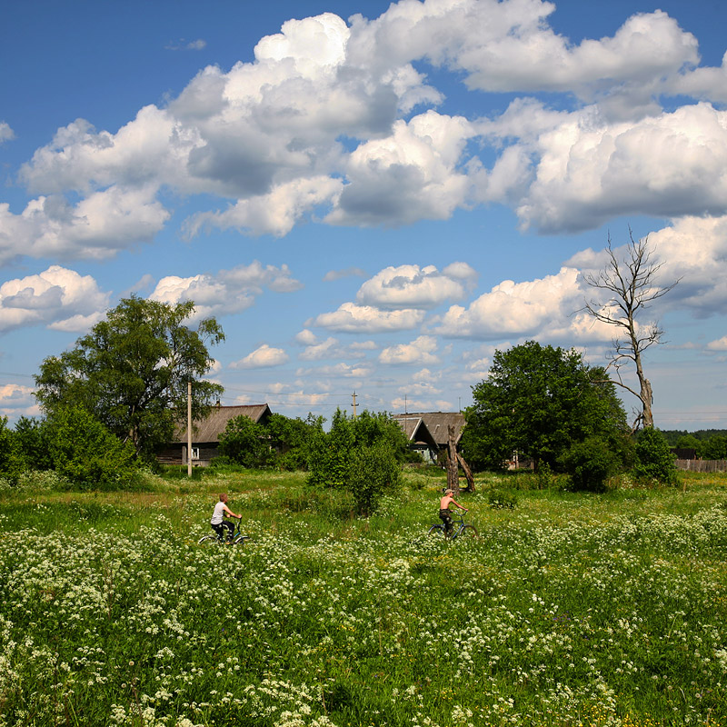 В деревне.