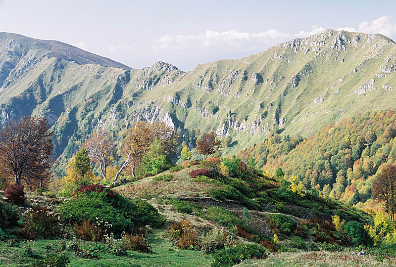 Осень в горах.