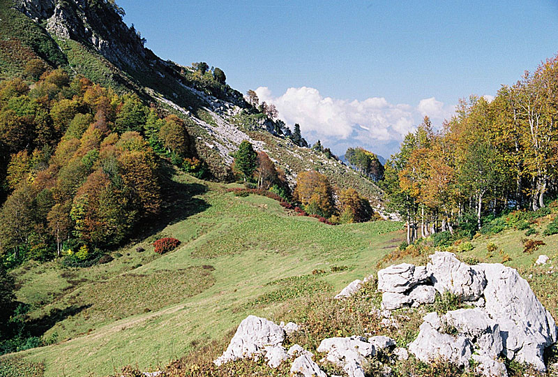 Осень в горах.