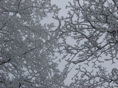 Пластический мотив 3