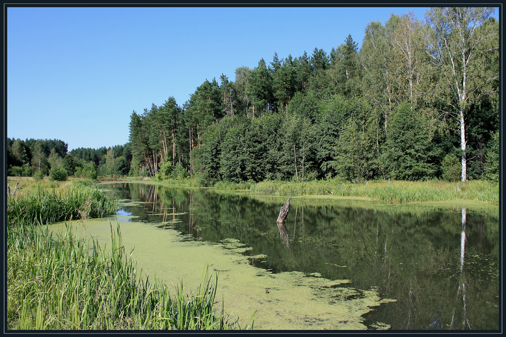 Старая река