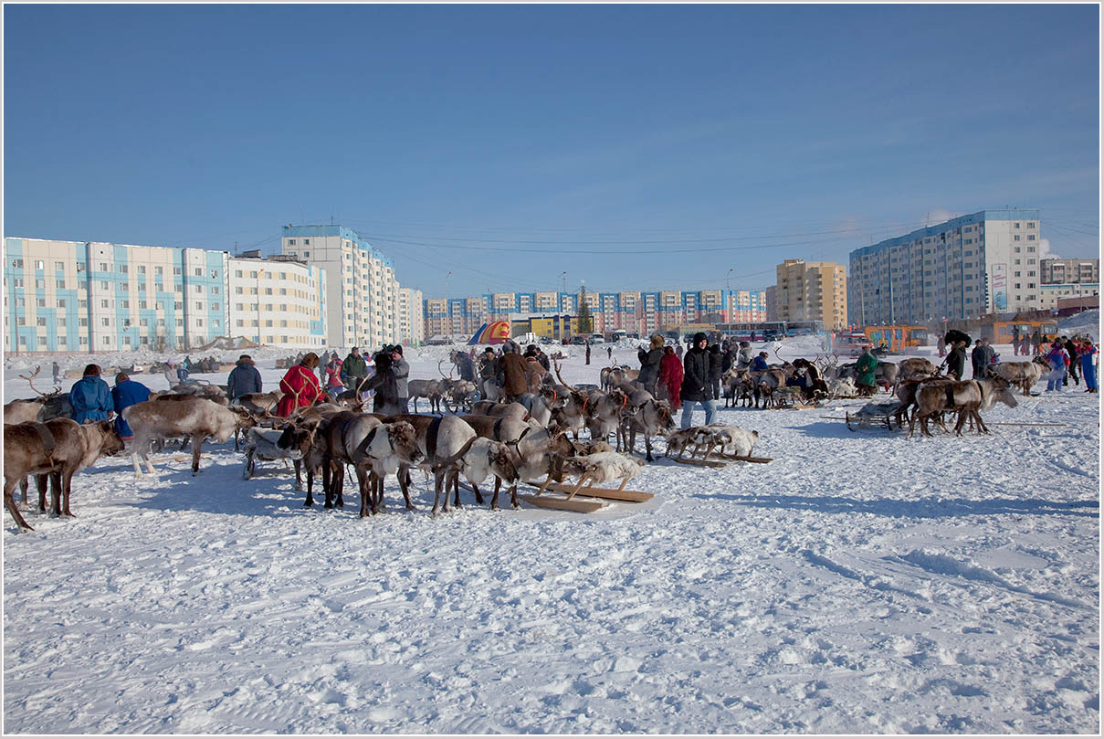 На озере Янтарном...