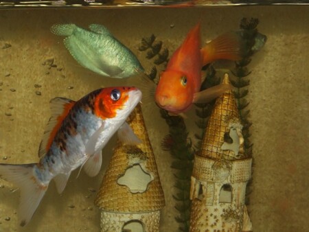 5 ТАЙНА ПОДВОДНОГО ЗАМКА, начало пути