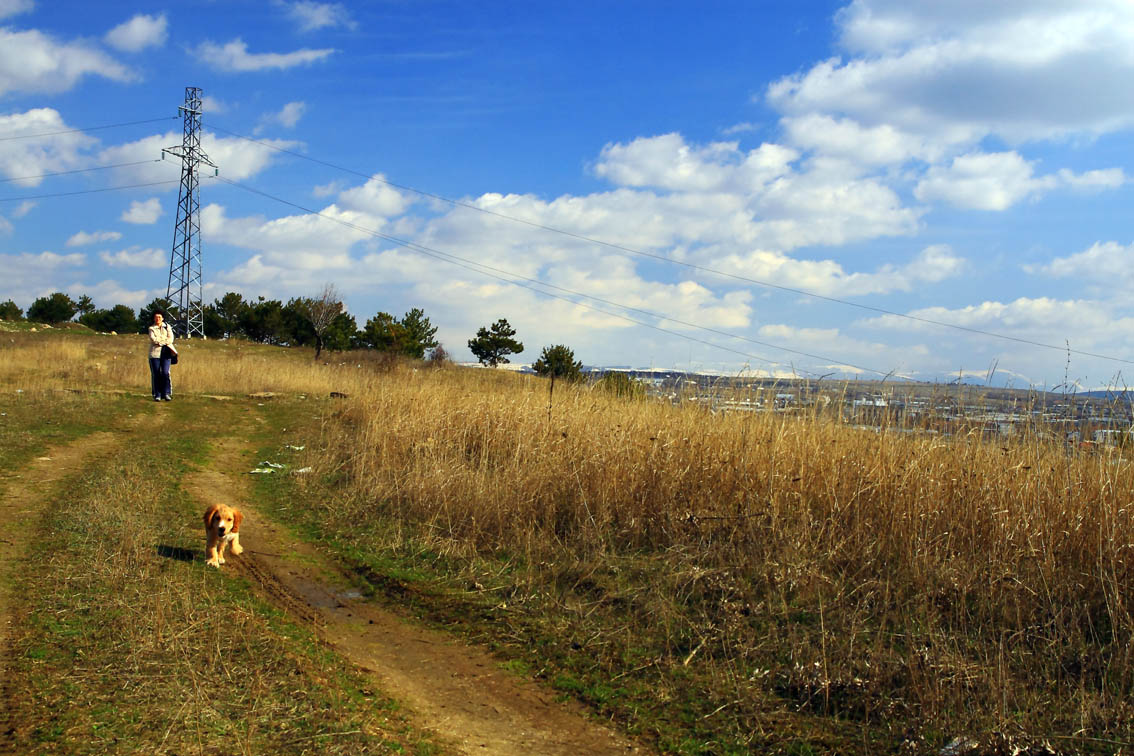 Большая прогулка