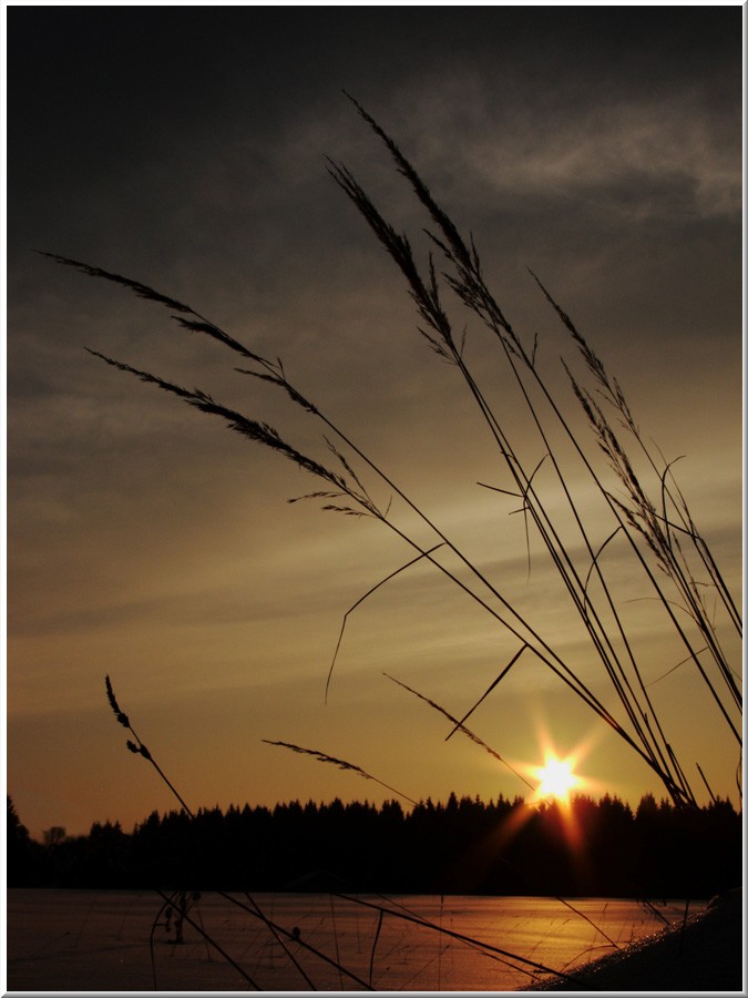 Cold sunset of spring