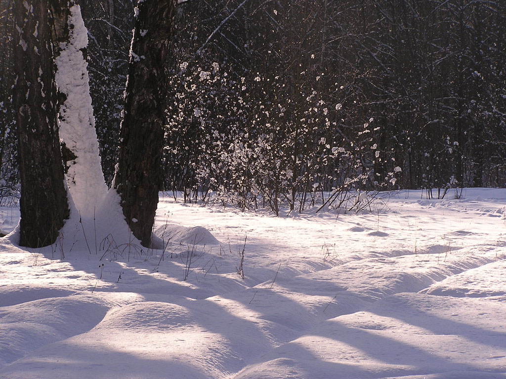 Февральские напевы