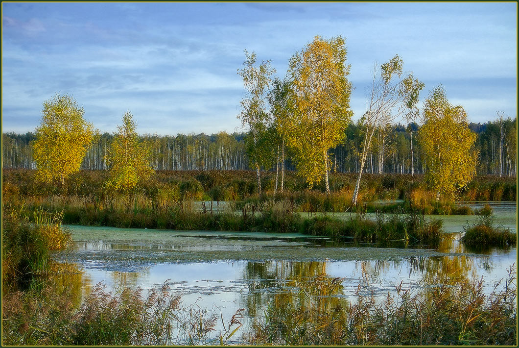 Золотая осень